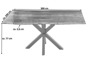 #naturfarben #300x100 #spider-gestellsilber