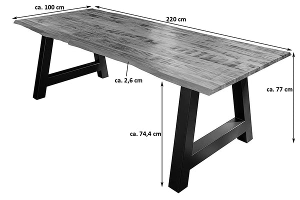 #220x100 #a-gestellschwarz