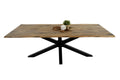 #220x100 #spider-gestellschwarz