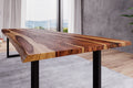 #sheeshamnaturfarbenlackiert #300x100 #u-gestellschwarz