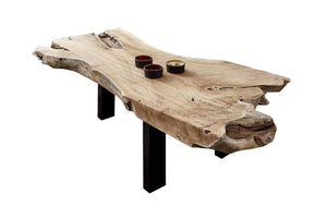 Couchtisch IBIZA 120