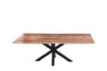 #naturfarben #300x100 #spider-gestellschwarz