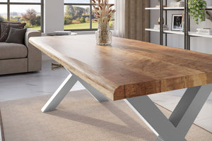 #mangoroughfarben #220x100 #x-gestellsilber