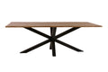 #220x100 #spider-gestellschwarz