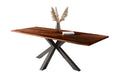 #nussbaumfarben #260x100 #spider-gestellschwarz