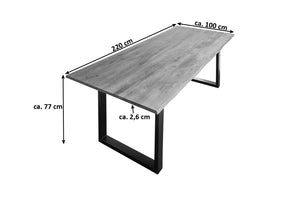 #220x100 #u-gestellschwarz