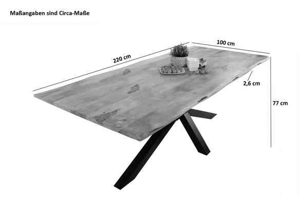 #220x100 #spider-gestellschwarz