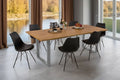 #wildeichenfarben #220x100 #u-gestellsilber