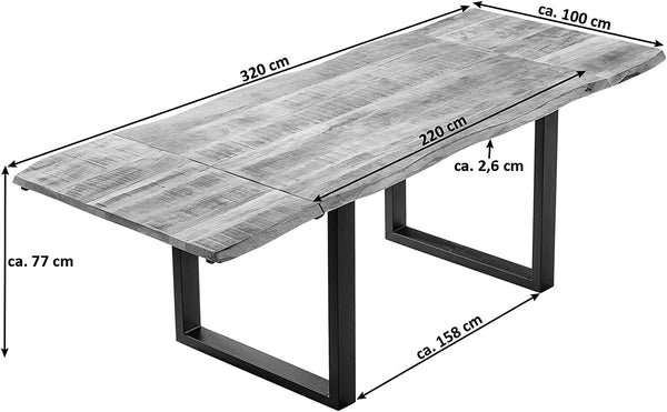 #220(300)x100