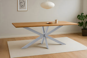 #220x100 #spider-gestellsilber