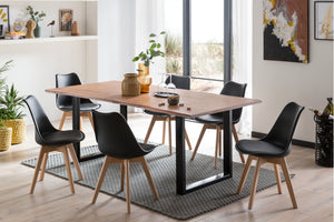 #220x100 #u-gestellschwarz