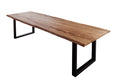 #sheeshamnaturfarben #280x100 #u-gestellschwarz