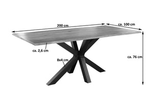 #naturfarben #200x100 #spider-gestellschwarz