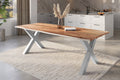 #naturfarben #260x100 #x-gestellsilber