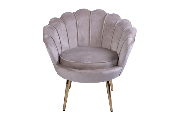 #taupe