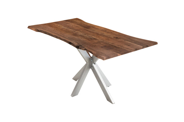 #nussbaumfarben #260x100 #spider-gestellsilber