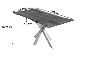 #nussbaumfarben #300x100 #spider-gestellsilber