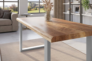 #mangoroughfarben #200x100 #u-gestellsilber