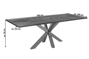 #nussbaumfarben #300x100 #spider-gestellsilber