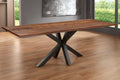 #nussbaumfarben #300x100 #spider-gestellschwarz