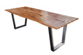 #200x100 #v-gestellsilber