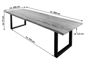 #sheeshamnaturfarben #300x100 #u-gestellschwarz