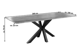 #naturfarben #280x100 #spider-gestellschwarz