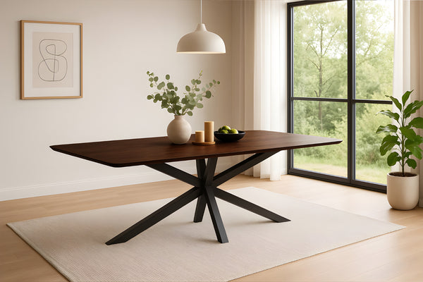 #220x100 #spider-gestellschwarz