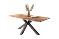 #naturfarben #240x100 #spider-gestellschwarz