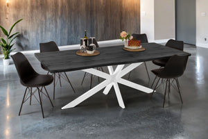 #graufarben #220x100 #spider-gestellweiß