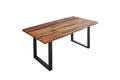 #sheeshamnaturfarbenlackiert #200x100 #u-gestellschwarz