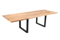 #200(300)x100 #u-gestellschwarz