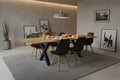 #200(300)x100 #x-gestellschwarz