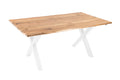 #200(300)x100 #x-gestellweiß