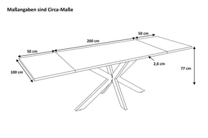 #200(300)x100 #spider-gestellsilber