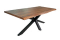 #nussbaumfarben #280x120 #spider-gestellschwarz