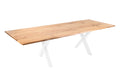 #200(300)x100 #x-gestellweiß