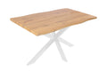 #120x80 #spider-gestellweiß