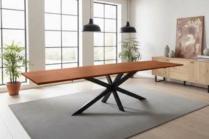 #nussbaumfarben #220(320)x100 #spider-gestellschwarz
