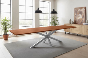 #nussbaumfarben #220(320)x100 #spider-gestellsilber