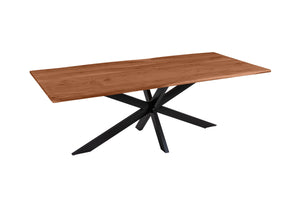 #nussbaumfarben #200(300)x100 #spider-gestellschwarz
