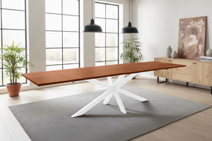 #nussbaumfarben #220(320)x100 #spider-gestellweiß
