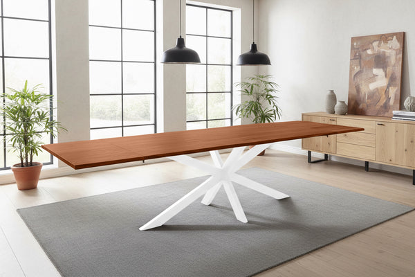#nussbaumfarben #200(300)x100 #spider-gestellweiß